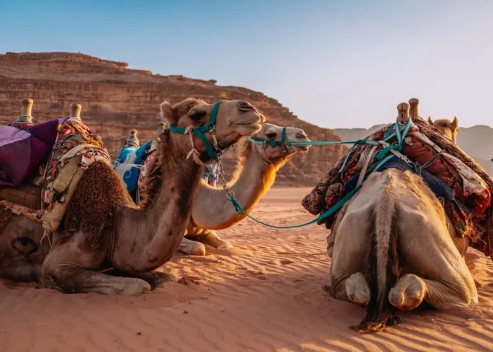 3 Day Desert Tour from Marrakech to Fes