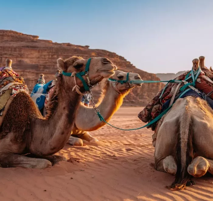 3 Day Desert Tour from Marrakech to Fes