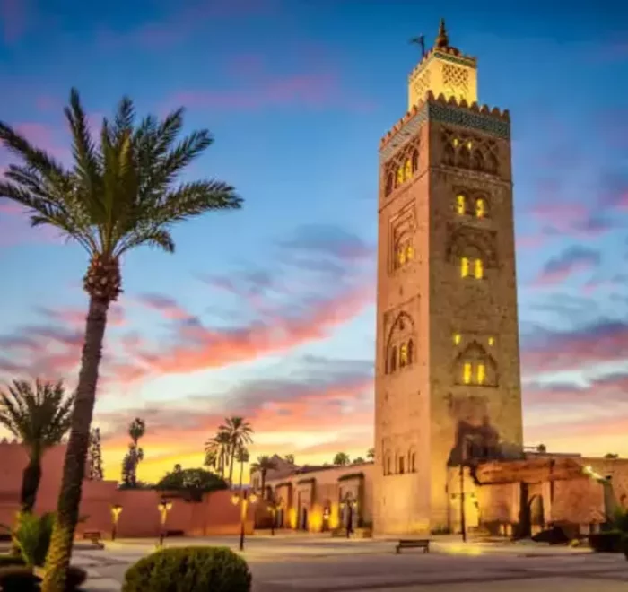 tours from marrakech
