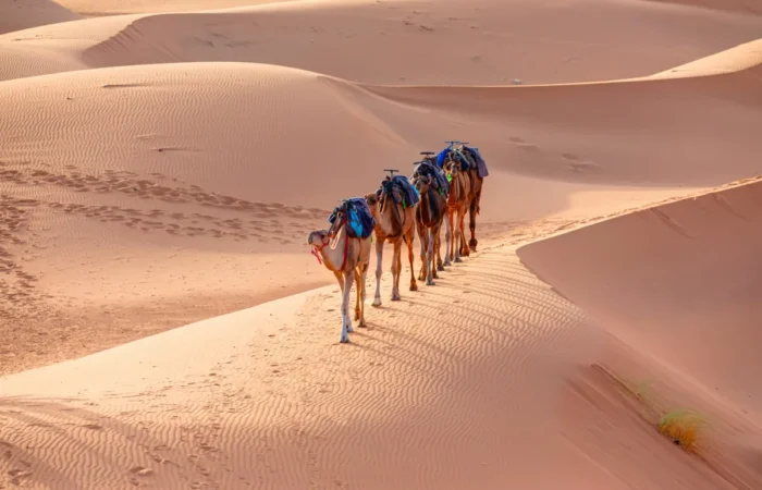 10 days Morocco tours