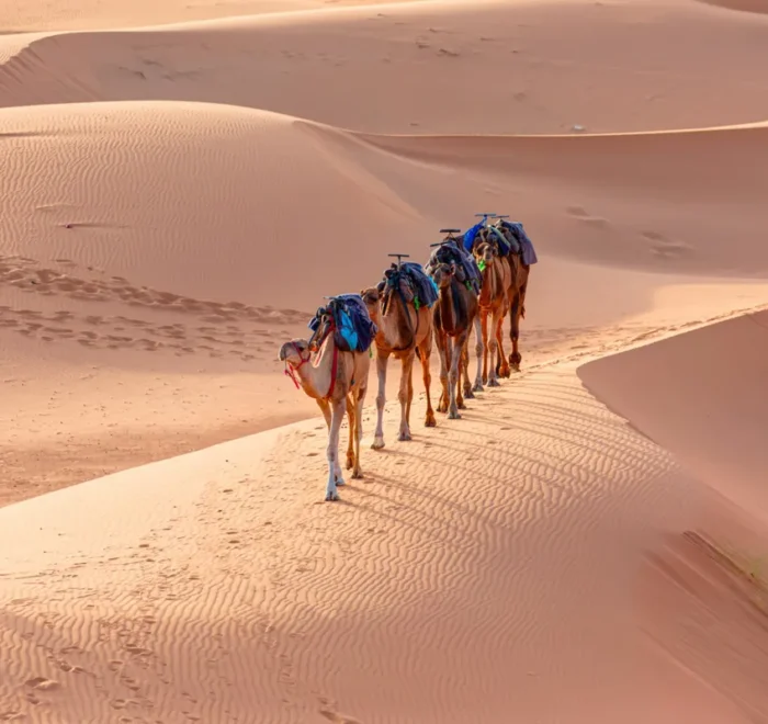 10 days Morocco tours