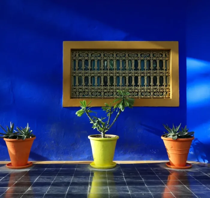 8 day desert trip from Marrakech to Tangier