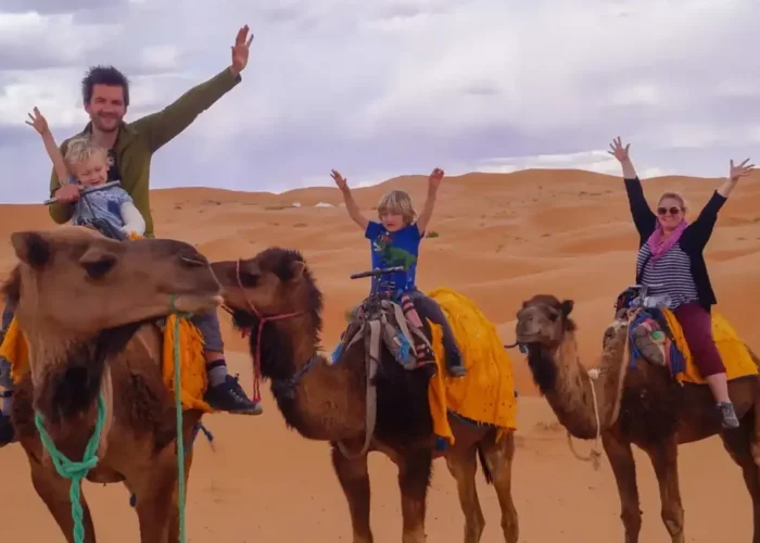 camel ride with family, the high atlas & desert discovery