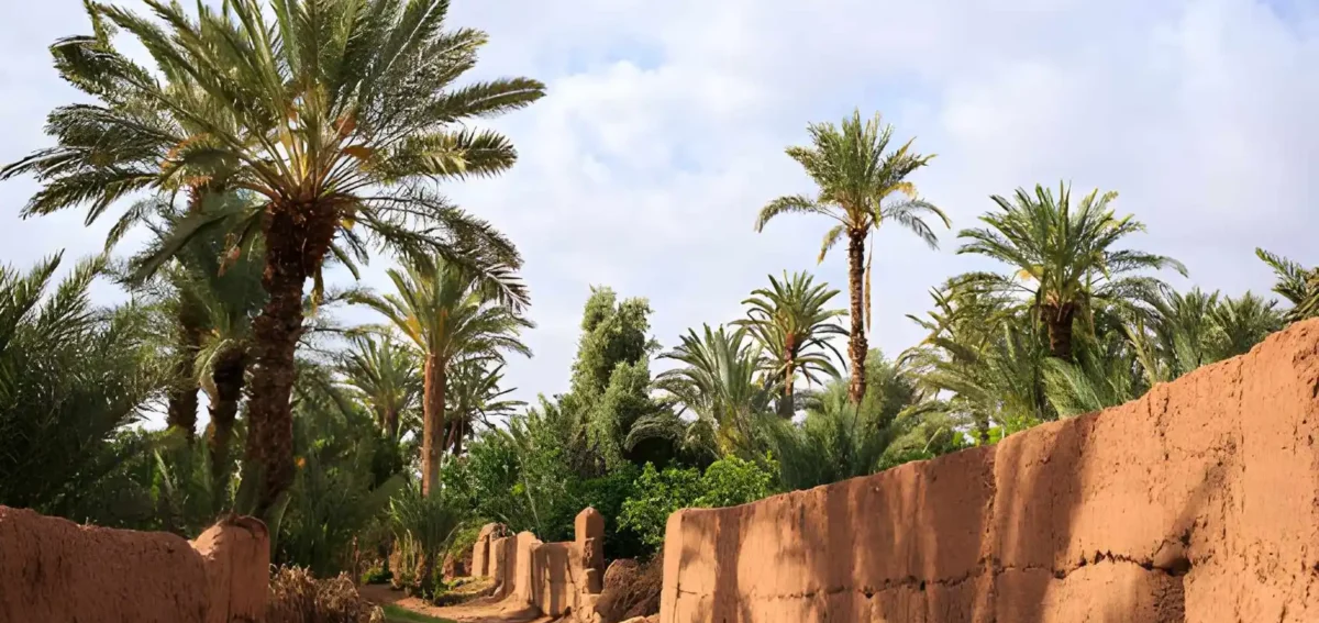 5 day desert trip from Agadir