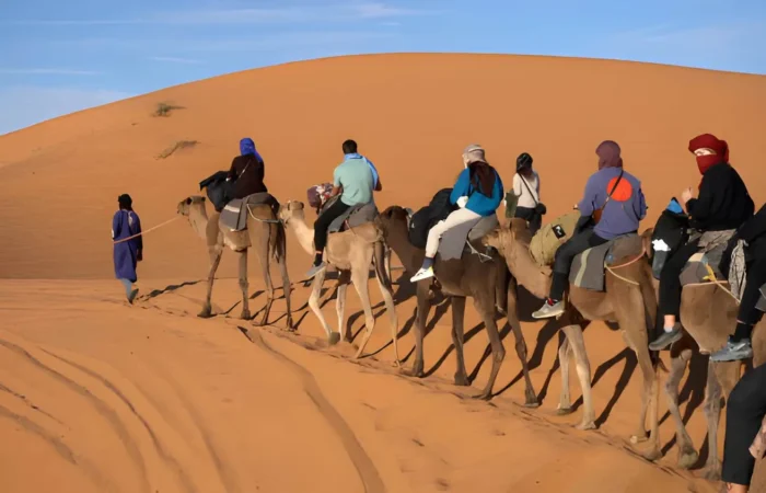 Desert trip with camel ride from Agadir