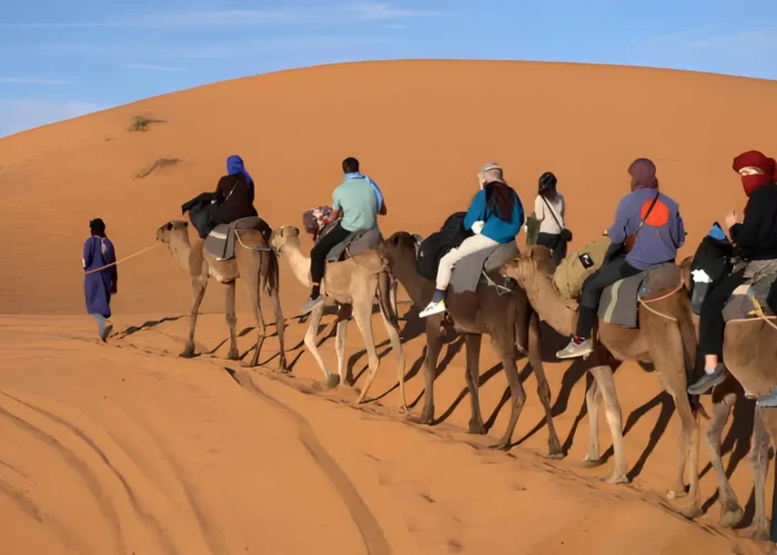 Desert trip with camel ride from Agadir