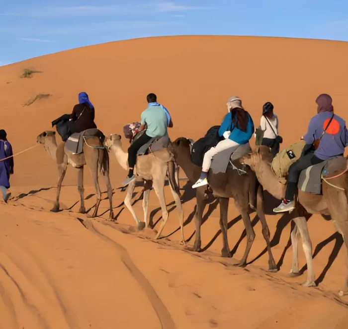 Desert trip with camel ride from Agadir