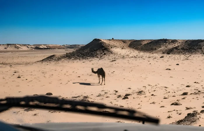 Morocco 7 day adventure