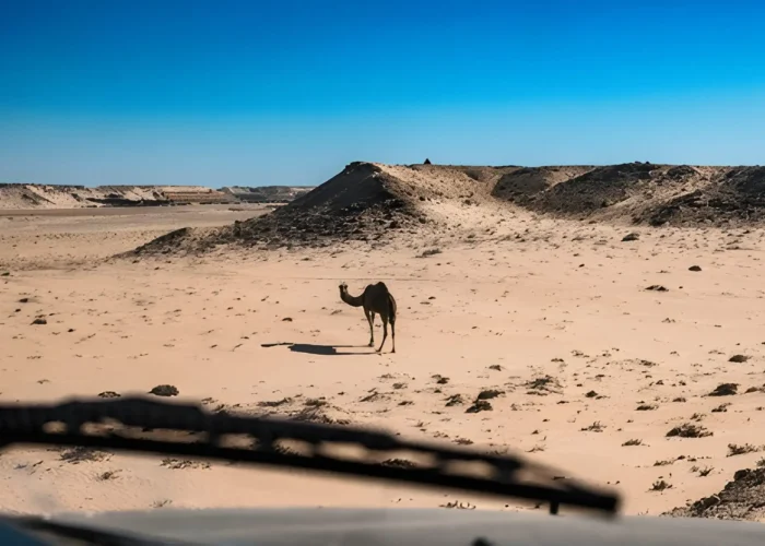 Morocco 7 day adventure