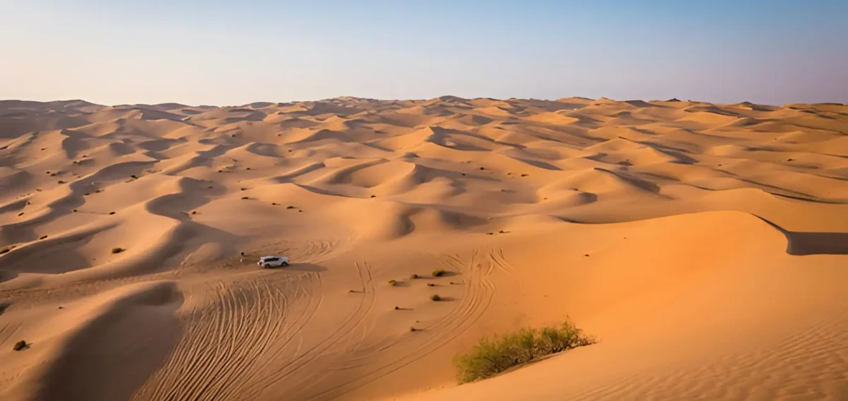 7 Days Morocco wild adventure