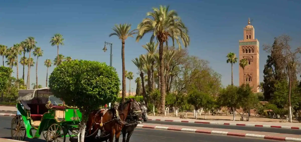 The vibrant city Marrakech tours