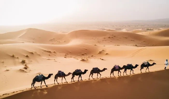 10-day Immersive Moroccan journey