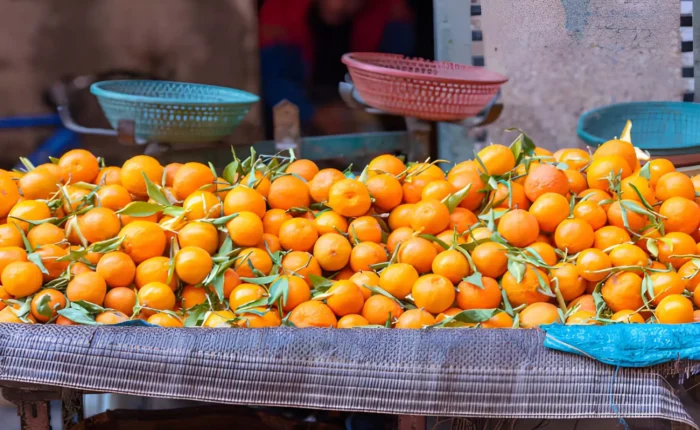 Best time to travel to Morocco